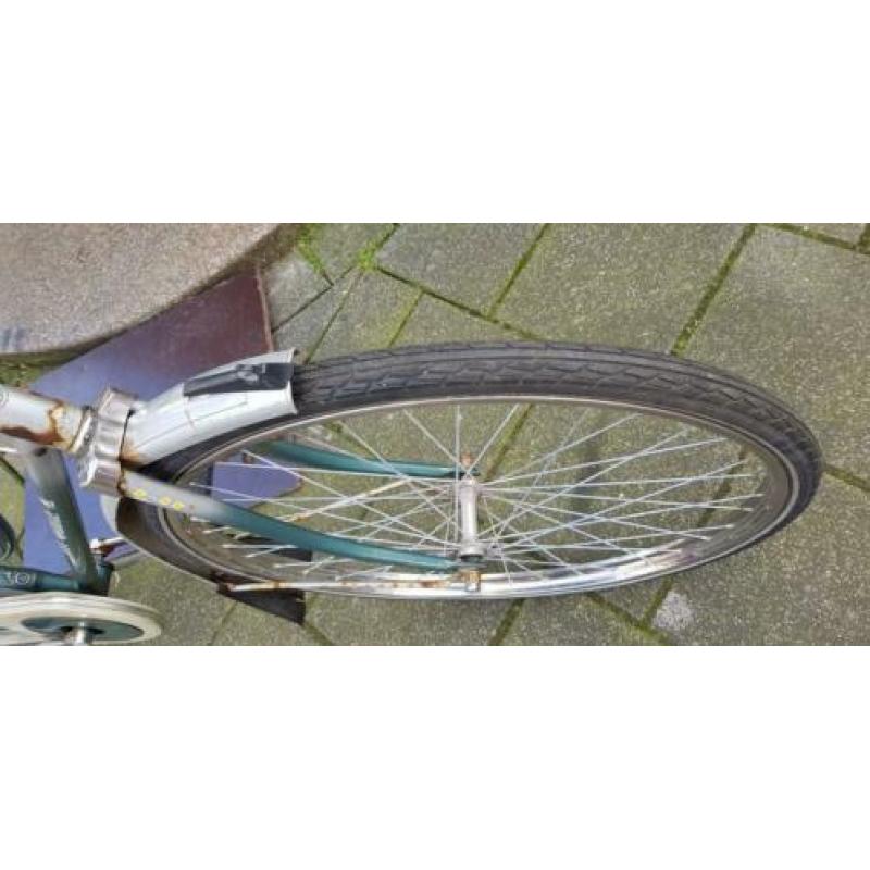 Gazelle primeur retrotje