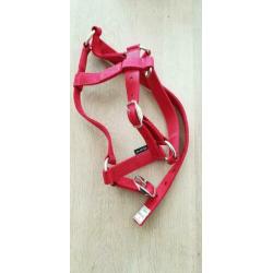 halsters (per stuk of samen)