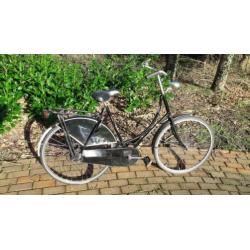 Pointer Basic oma fiets