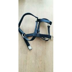 halsters (per stuk of samen)