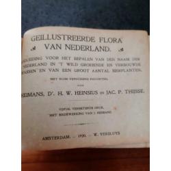 Geillustreerde Flora Van Nederland 1920