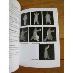 DAO van Taiji * Tai chi en vaardigheden * DVD + boek