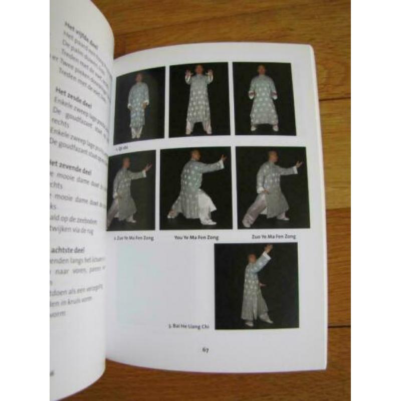DAO van Taiji * Tai chi en vaardigheden * DVD + boek