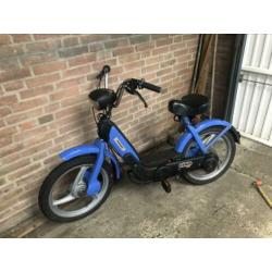 Vespa ciao
