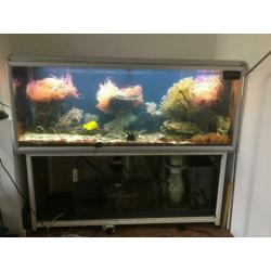 Zeeaquarium Akva stabil Effect line Mark II 160 met techniek