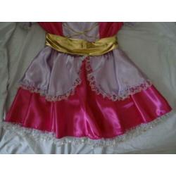 Leuke roze/paars/gouden PRINSESSEN/BARBIE/FEE jurk