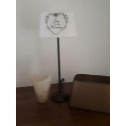 2x staande lampen met ieder 3x verschillende kappen.