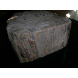 Heel mooi stuk hout