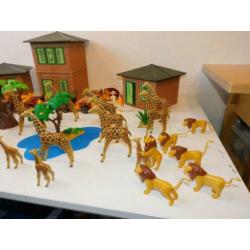 playmobil safari XL