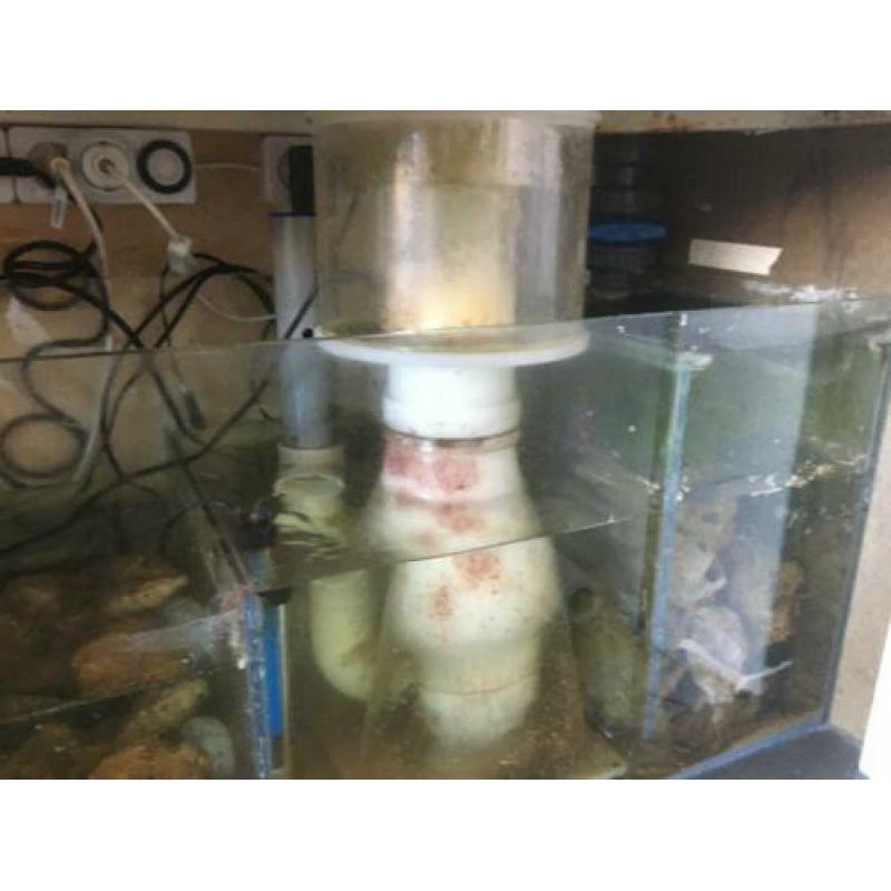 Zeeaquarium Akva stabil Effect line Mark II 160 met techniek