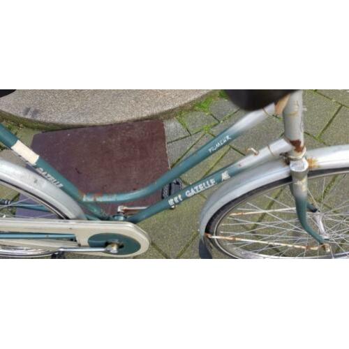 Gazelle primeur retrotje