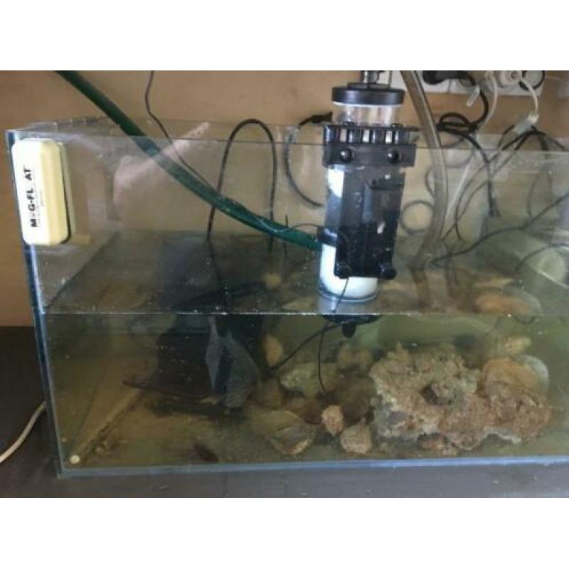 Zeeaquarium Akva stabil Effect line Mark II 160 met techniek