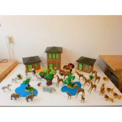 playmobil safari XL
