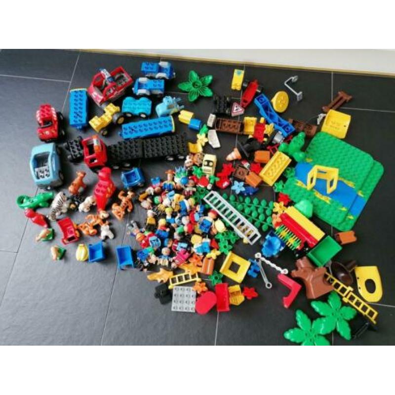Veel LEGO Duplo