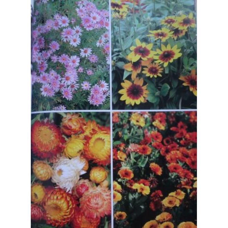 DE COTTAGETUIN * Tuinliefhebbersgids *