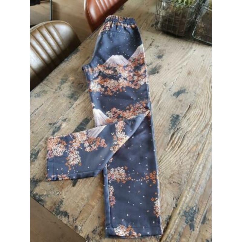 Maison Scotch broek