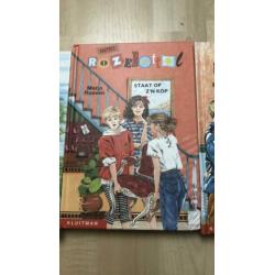 Alle boeken van de serie Hotel Rozebottel