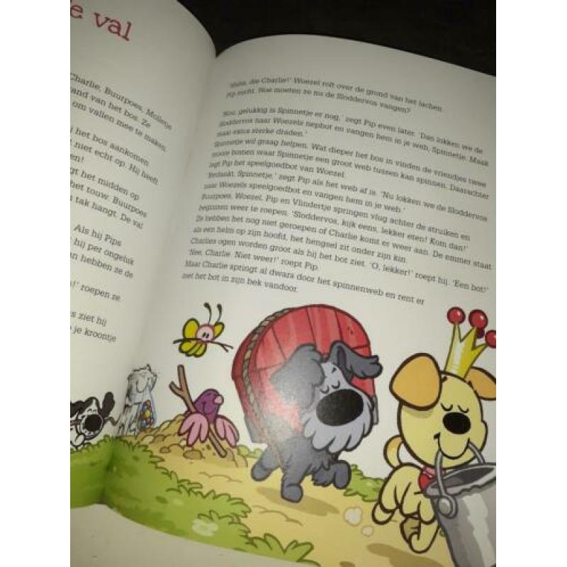 Boek Woezel en Pip op zoek naar sloddervos