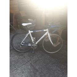 batavus vacansolei 52 cm groep ultegra