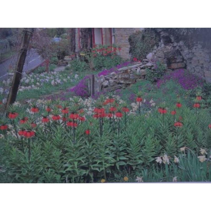 DE COTTAGETUIN * Tuinliefhebbersgids *