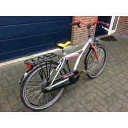 Sparta Pulse 24 inch