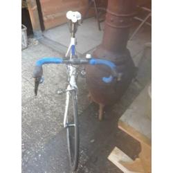batavus vacansolei 52 cm groep ultegra