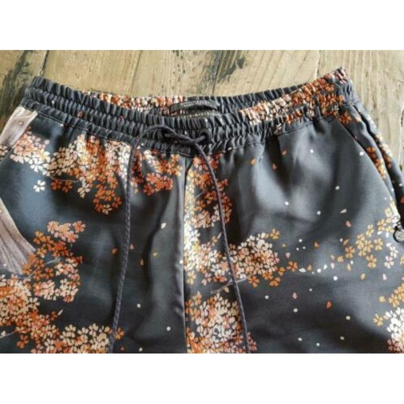Maison Scotch broek