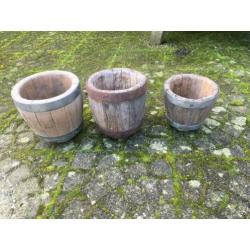 Kaas vaatjes 3 stuks