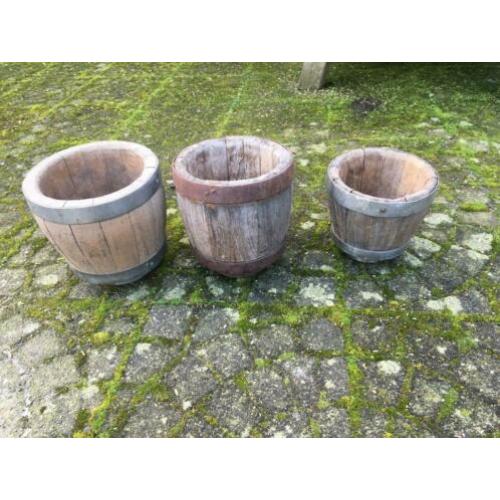 Kaas vaatjes 3 stuks