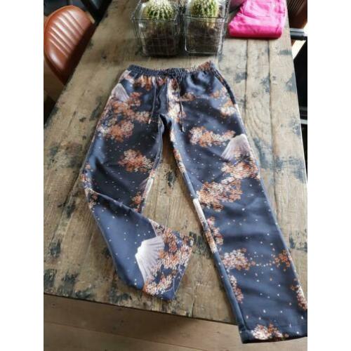 Maison Scotch broek