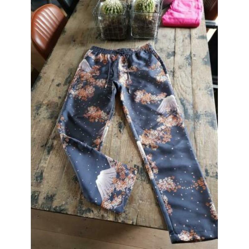 Maison Scotch broek