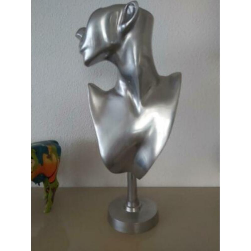 Ziver beeld gezicht