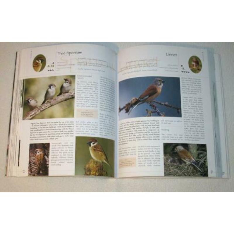 Encyclopedia British & European Birds - 1000 illustraties