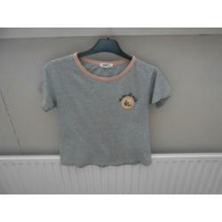 Leuk kort shirtje maat S (meer shirtjes 2 voor €5.00)