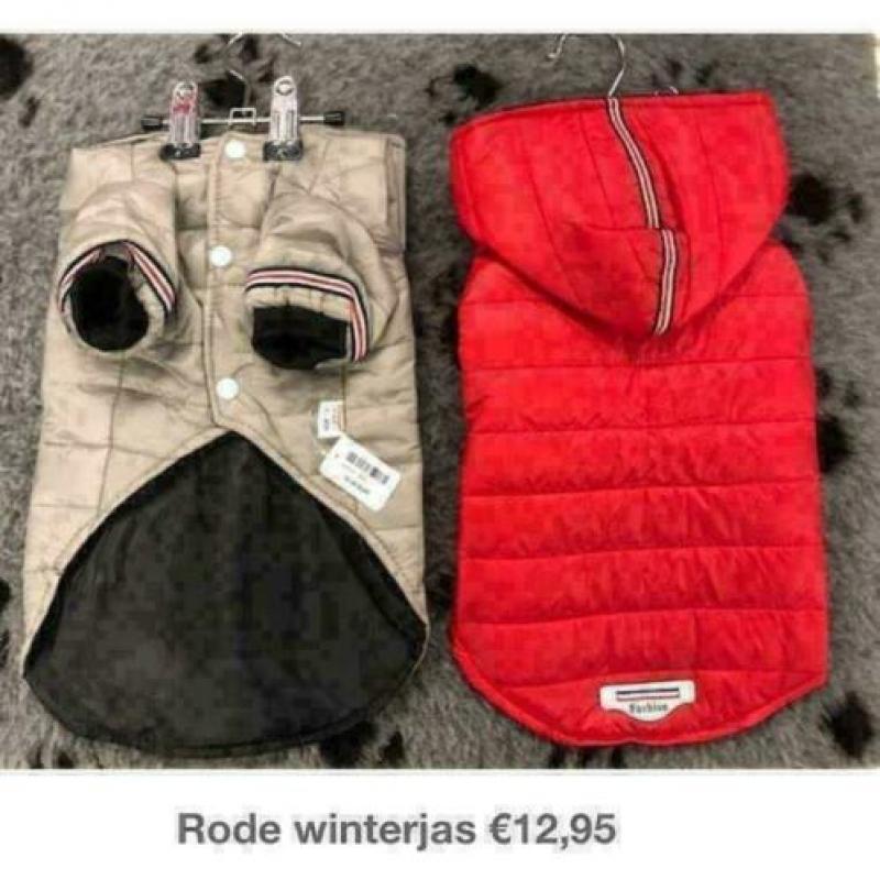 Chihuahua hondenkleding, trui, vest, shirt, regenjas