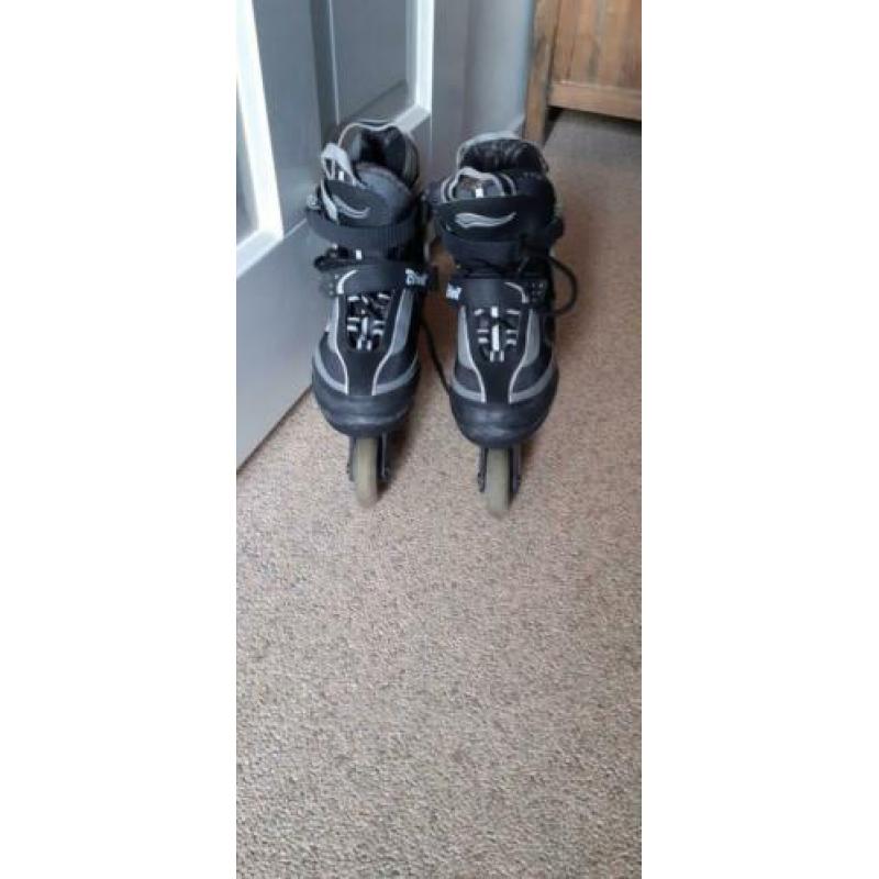 inline skates crivit 35 tm 39