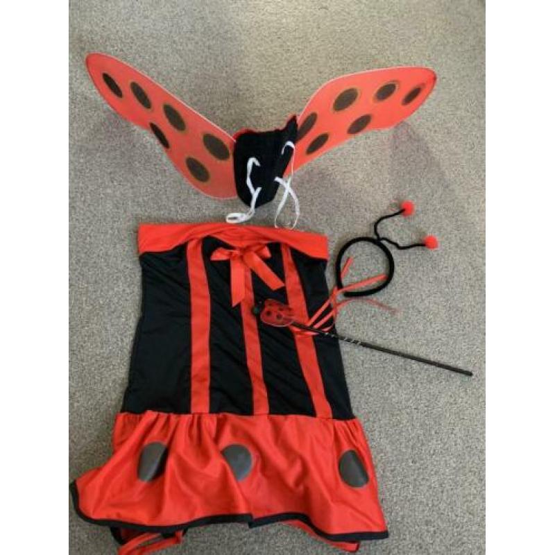 Leuk lieveheersbeestje ?? carnavals kleren 134 -140