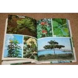 Elseviers Gids van Tropische Planten !!