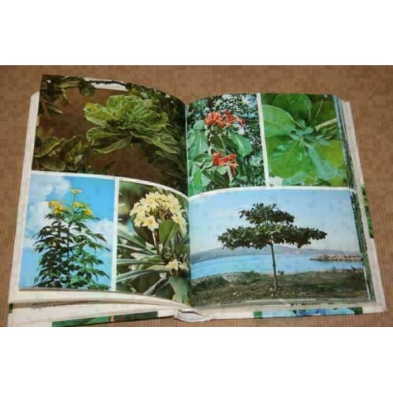 Elseviers Gids van Tropische Planten !!