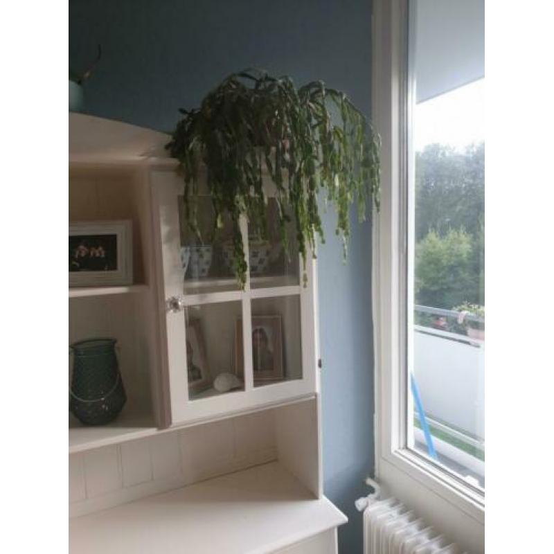 Leuke, cremekleurige buffetkast te koop