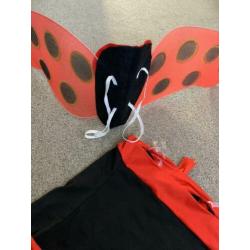Leuk lieveheersbeestje ?? carnavals kleren 134 -140