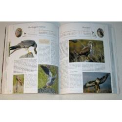 Encyclopedia British & European Birds - 1000 illustraties