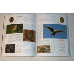 Encyclopedia British & European Birds - 1000 illustraties