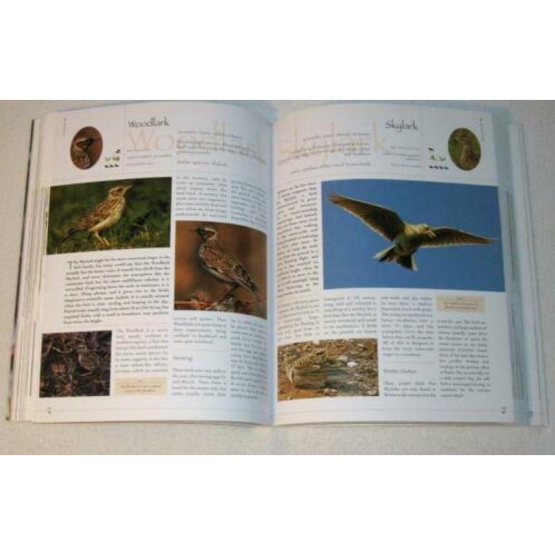 Encyclopedia British & European Birds - 1000 illustraties