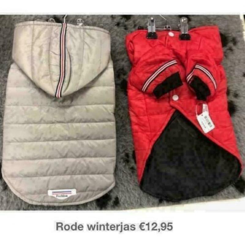 Chihuahua hondenkleding, trui, vest, shirt, regenjas