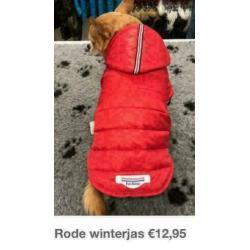 Chihuahua hondenkleding, trui, vest, shirt, regenjas