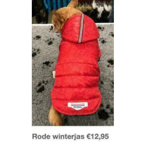 Chihuahua hondenkleding, trui, vest, shirt, regenjas