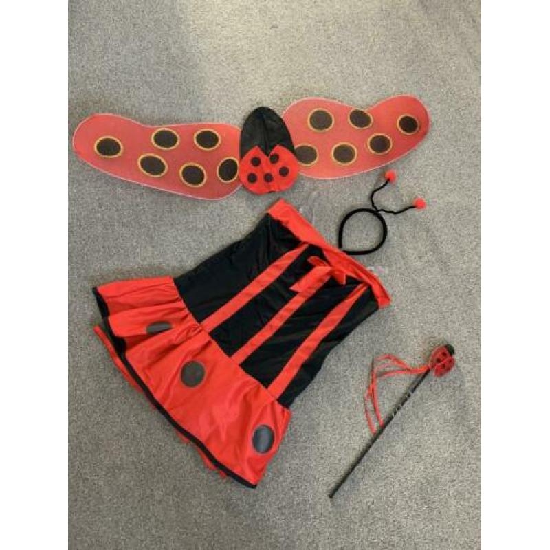 Leuk lieveheersbeestje ?? carnavals kleren 134 -140