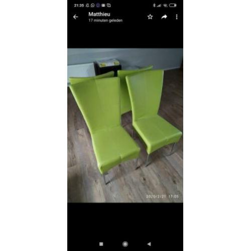 Line groen eetkamerstoelen