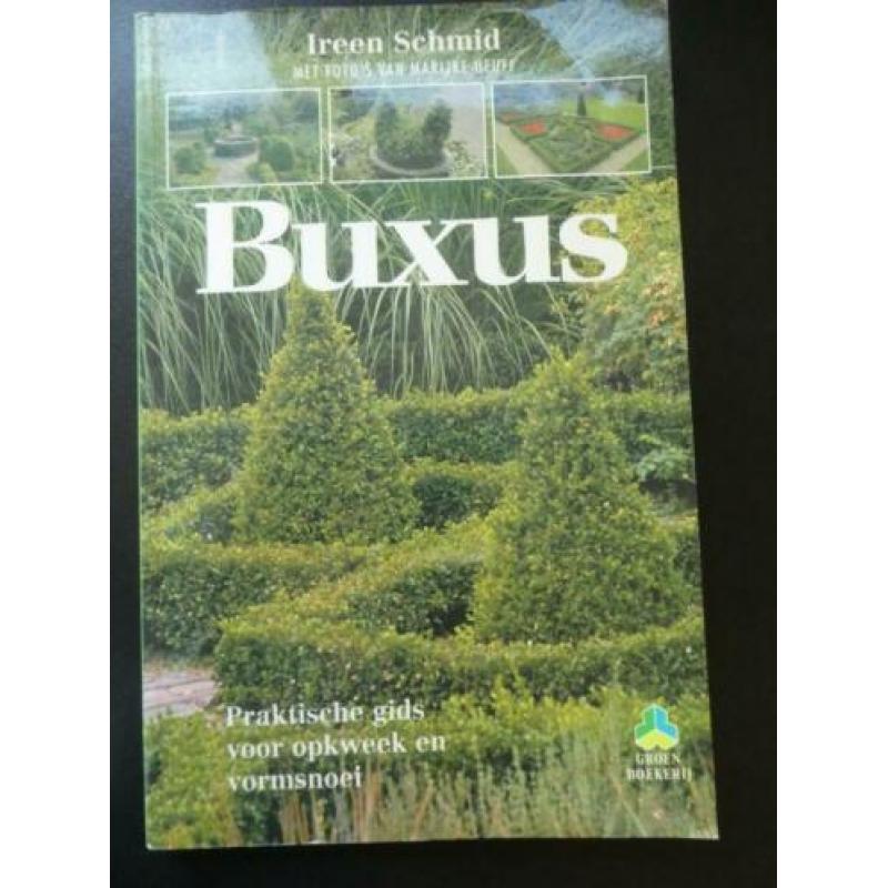 BUXUS -Ireen Schmid